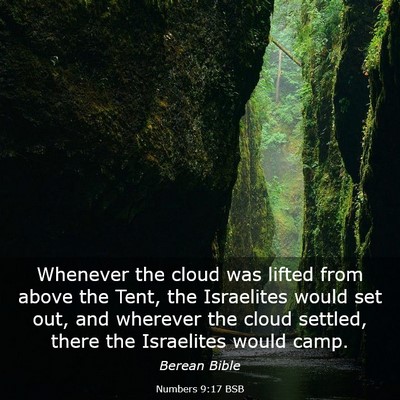 Picture 03 - Numbers 9:17 BSB - Whenever the cloud was lifted from above the - Bible Verse Picture