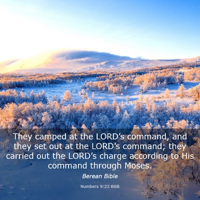 Picture 03 - Numbers 9:23 BSB - They camped at the LORD’s command, and they set - Bible Verse Picture