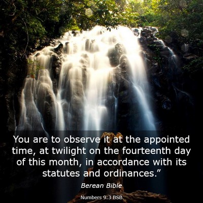 Picture 03 - Numbers 9:3 BSB - You are to observe it at the appointed time, at - Bible Verse Picture