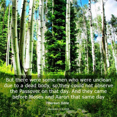 Picture 03 - Numbers 9:6 BSB - But there were some men who were unclean due to a - Bible Verse Picture