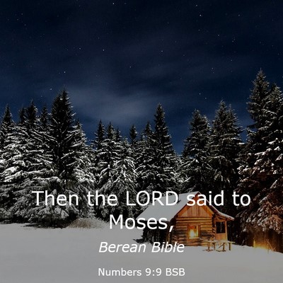 Picture 03 - Numbers 9:9 BSB - Then the LORD said to - Bible Verse Picture