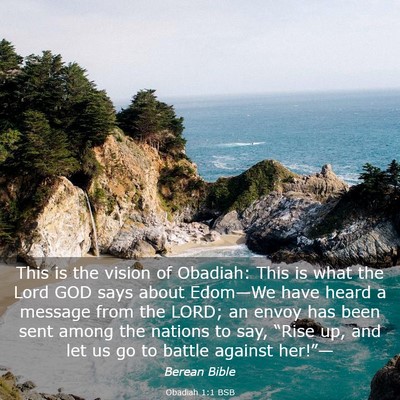 Picture 03 - Obadiah 1:1 BSB - This is the vision of Obadiah: This is what the - Bible Verse Picture