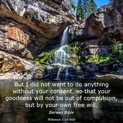 Picture 03 - Philemon 1:14 BSB - But I did not want to do anything without your - Bible Verse Picture
