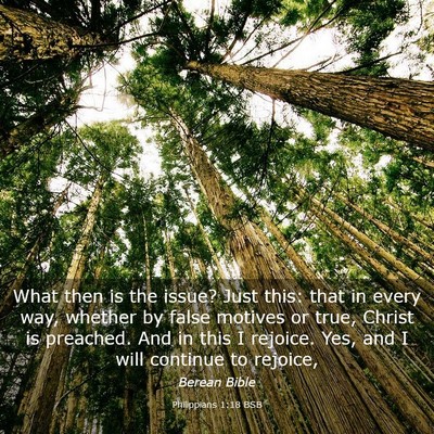 Picture 03 - Philippians 1:18 BSB - What then is the issue? Just this: that in every - Bible Verse Picture