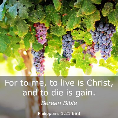 Picture 03 - Philippians 1:21 BSB - For to me, to live is Christ, and to die is - Bible Verse Picture