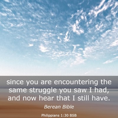 Picture 03 - Philippians 1:30 BSB - since you are encountering the same struggle you - Bible Verse Picture