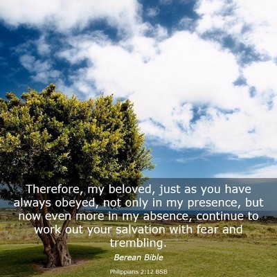 Picture 03 - Philippians 2:12 BSB - Therefore, my beloved, just as you have always - Bible Verse Picture