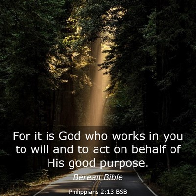Picture 03 - Philippians 2:13 BSB - For it is God who works in you to will and to act - Bible Verse Picture