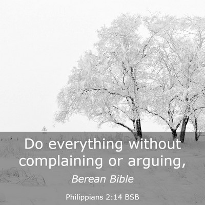 Picture 03 - Philippians 2:14 BSB - Do everything without complaining or - Bible Verse Picture