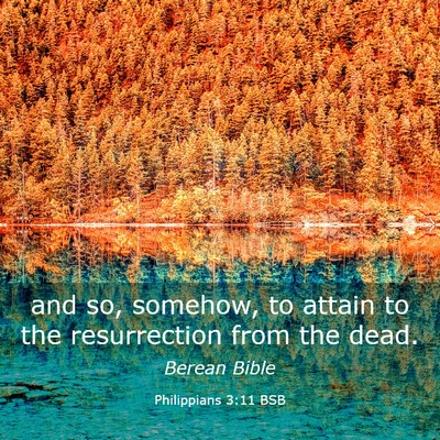 Picture 03 - Philippians 3:11 BSB - and so, somehow, to attain to the resurrection - Bible Verse Picture