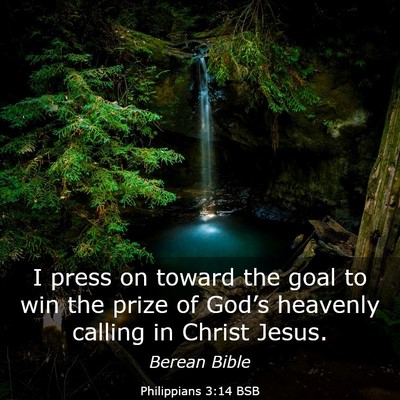 Picture 03 - Philippians 3:14 BSB - I press on toward the goal to win the prize of - Bible Verse Picture