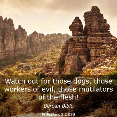 Picture 03 - Philippians 3:2 BSB - Watch out for those dogs, those workers of evil, - Bible Verse Picture