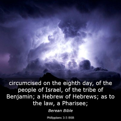 Picture 03 - Philippians 3:5 BSB - circumcised on the eighth day, of the people of - Bible Verse Picture