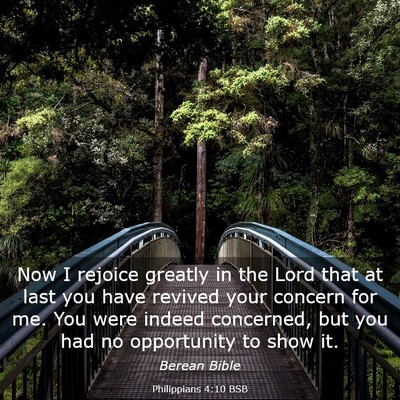 Picture 03 - Philippians 4:10 BSB - Now I rejoice greatly in the Lord that at last - Bible Verse Picture