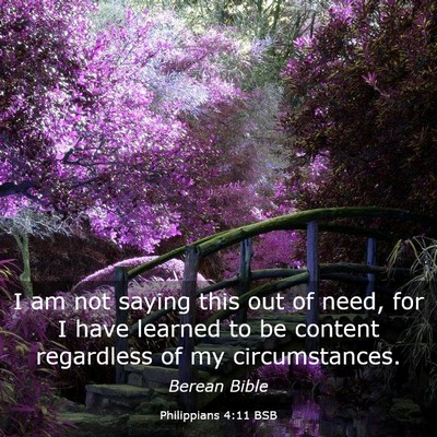 Picture 03 - Philippians 4:11 BSB - I am not saying this out of need, for I have - Bible Verse Picture