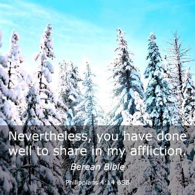 Picture 03 - Philippians 4:14 BSB - Nevertheless, you have done well to share in my - Bible Verse Picture