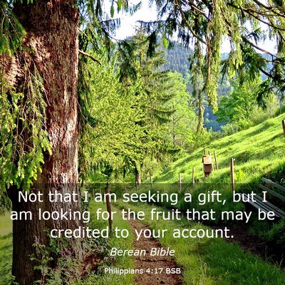 Picture 03 - Philippians 4:17 BSB - Not that I am seeking a gift, but I am looking - Bible Verse Picture