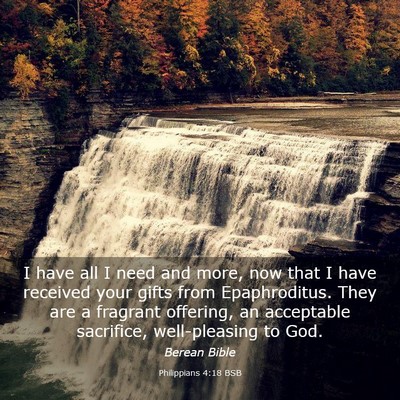 Picture 03 - Philippians 4:18 BSB - I have all I need and more, now that I have - Bible Verse Picture