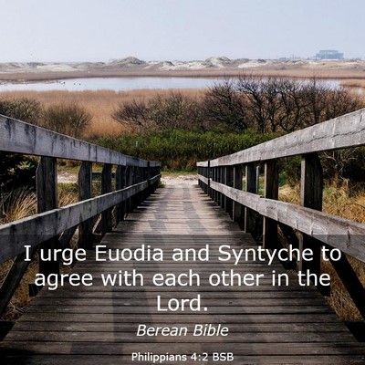 Picture 03 - Philippians 4:2 BSB - I urge Euodia and Syntyche to agree with each - Bible Verse Picture