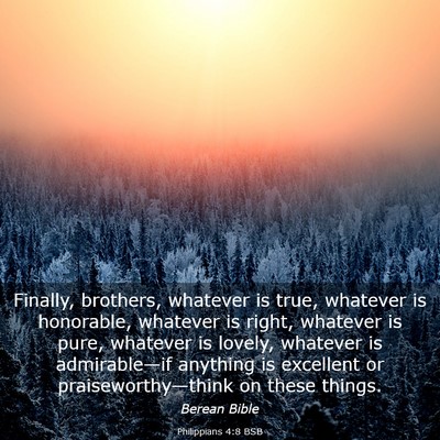 Picture 03 - Philippians 4:8 BSB - Finally, brothers, whatever is true, whatever is - Bible Verse Picture