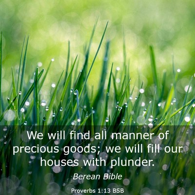Picture 03 - Proverbs 1:13 BSB - We will find all manner of precious goods; we - Bible Verse Picture