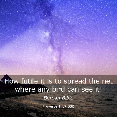 Picture 03 - Proverbs 1:17 BSB - How futile it is to spread the net where any bird - Bible Verse Picture