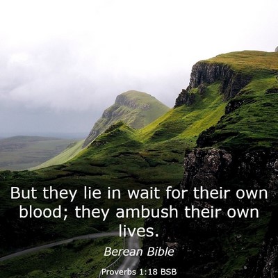 Picture 03 - Proverbs 1:18 BSB - But they lie in wait for their own blood; they - Bible Verse Picture
