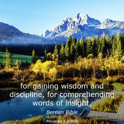 Picture 03 - Proverbs 1:2 BSB - for gaining wisdom and discipline, for - Bible Verse Picture