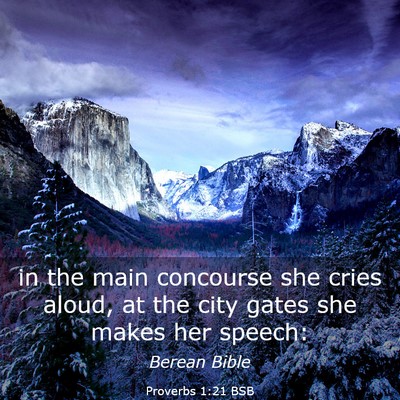 Picture 03 - Proverbs 1:21 BSB - in the main concourse she cries aloud, at the - Bible Verse Picture