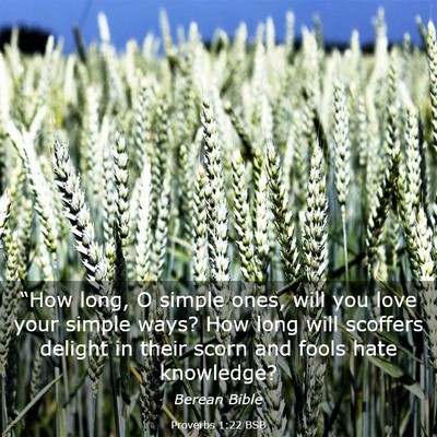 Picture 03 - Proverbs 1:22 BSB - “How long, O simple ones, will you love your - Bible Verse Picture