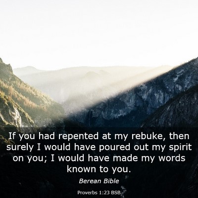 Picture 03 - Proverbs 1:23 BSB - If you had repented at my rebuke, then surely I - Bible Verse Picture