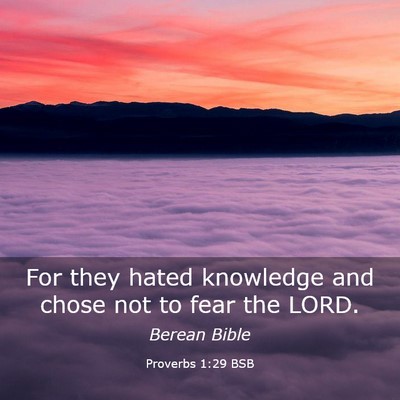 Picture 03 - Proverbs 1:29 BSB - For they hated knowledge and chose not to fear - Bible Verse Picture