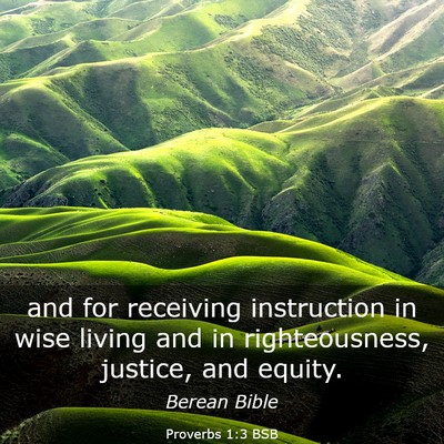 Picture 03 - Proverbs 1:3 BSB - and for receiving instruction in wise living and - Bible Verse Picture