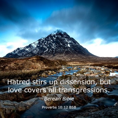 Picture 03 - Proverbs 10:12 BSB - Hatred stirs up dissension, but love covers all - Bible Verse Picture