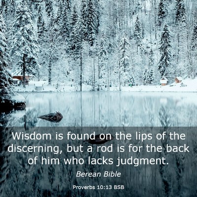 Picture 03 - Proverbs 10:13 BSB - Wisdom is found on the lips of the discerning, - Bible Verse Picture