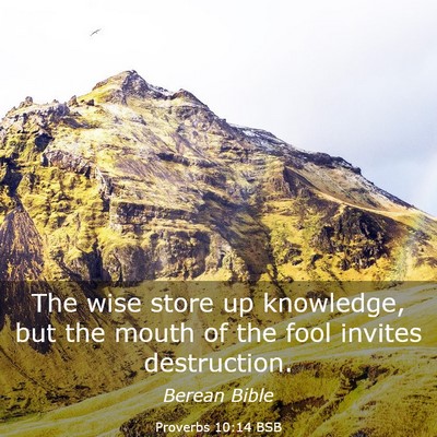 Picture 03 - Proverbs 10:14 BSB - The wise store up knowledge, but the mouth of the - Bible Verse Picture