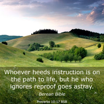 Picture 03 - Proverbs 10:17 BSB - Whoever heeds instruction is on the path to life, - Bible Verse Picture