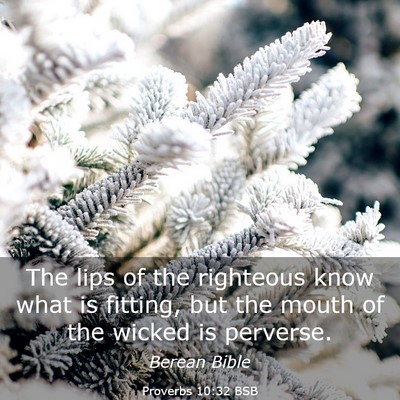 Picture 03 - Proverbs 10:32 BSB - The lips of the righteous know what is fitting, - Bible Verse Picture