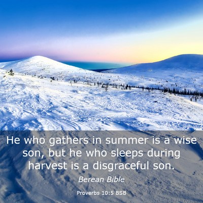 Picture 03 - Proverbs 10:5 BSB - He who gathers in summer is a wise son, but he - Bible Verse Picture