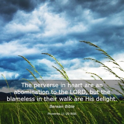 Picture 03 - Proverbs 11:20 BSB - The perverse in heart are an abomination to the - Bible Verse Picture