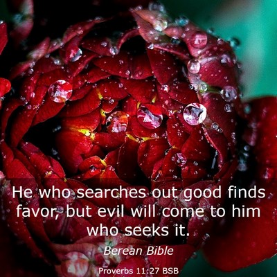 Picture 03 - Proverbs 11:27 BSB - He who searches out good finds favor, but evil - Bible Verse Picture