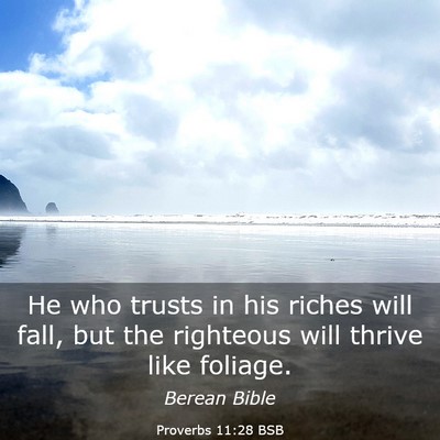 Picture 03 - Proverbs 11:28 BSB - He who trusts in his riches will fall, but the - Bible Verse Picture