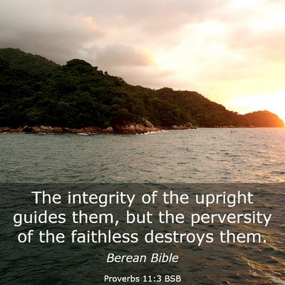 Picture 03 - Proverbs 11:3 BSB - The integrity of the upright guides them, but the - Bible Verse Picture