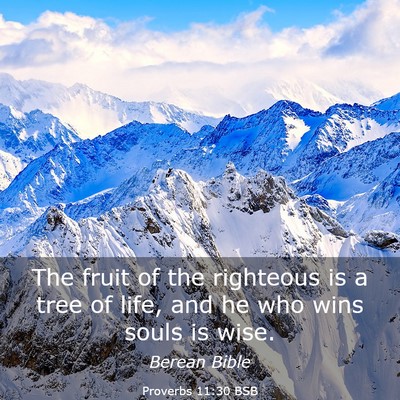Picture 03 - Proverbs 11:30 BSB - The fruit of the righteous is a tree of life, and - Bible Verse Picture
