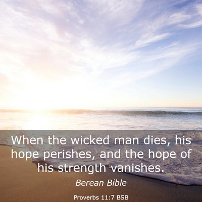 Picture 03 - Proverbs 11:7 BSB - When the wicked man dies, his hope perishes, and - Bible Verse Picture