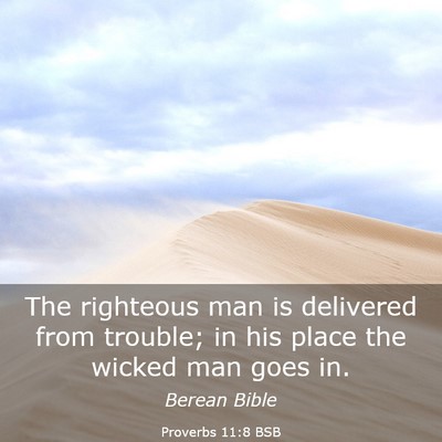 Picture 03 - Proverbs 11:8 BSB - The righteous man is delivered from trouble; in - Bible Verse Picture