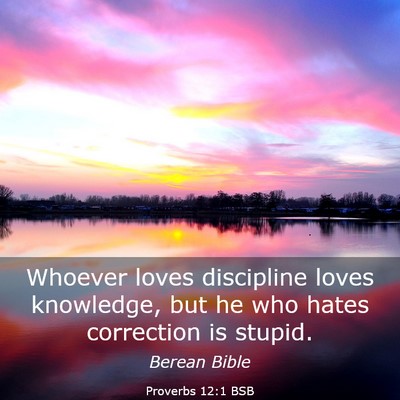 Picture 03 - Proverbs 12:1 BSB - Whoever loves discipline loves knowledge, but he - Bible Verse Picture