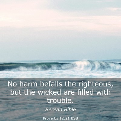 Picture 03 - Proverbs 12:21 BSB - No harm befalls the righteous, but the wicked are - Bible Verse Picture