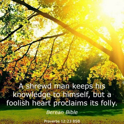 Picture 03 - Proverbs 12:23 BSB - A shrewd man keeps his knowledge to himself, but - Bible Verse Picture