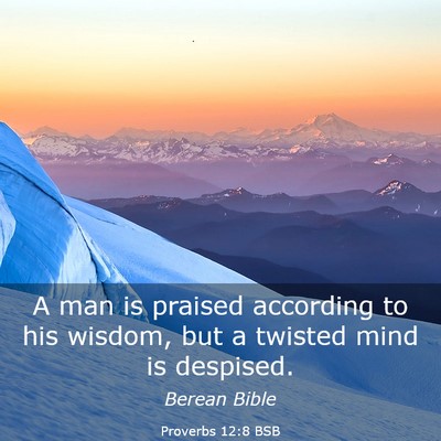Picture 03 - Proverbs 12:8 BSB - A man is praised according to his wisdom, but a - Bible Verse Picture